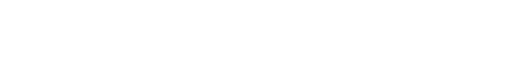 Reviewbird Logo